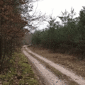 Inwentaryzacja 2016