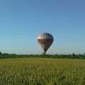 Niecodzienny widok w łowisku - Balon wylądował w obwodzie 36