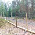 Płot strażowa 2021